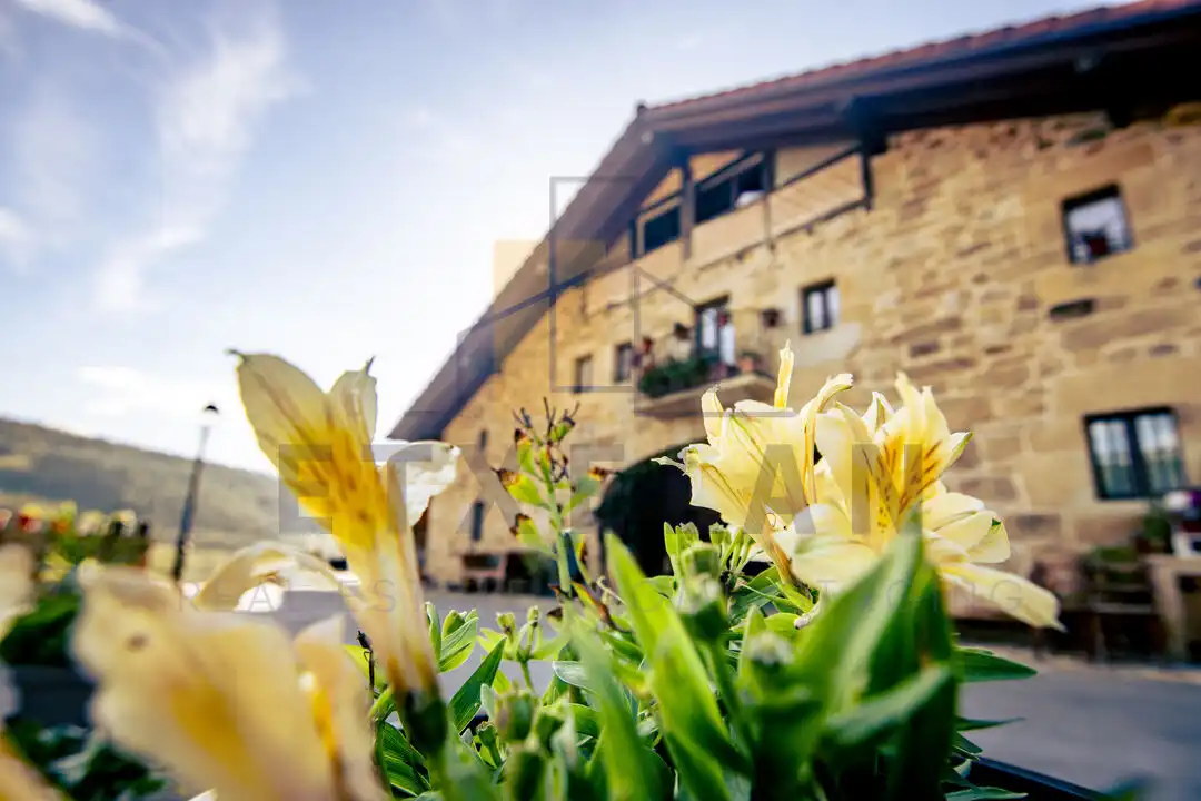 Landhaus mit Terrasse zum Verkauf in Iurreta, imagen 35