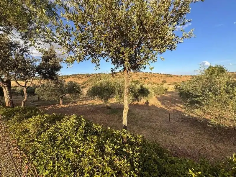 Terreni e lotti in vendita a Montesol - Mejostilla, imagen 31