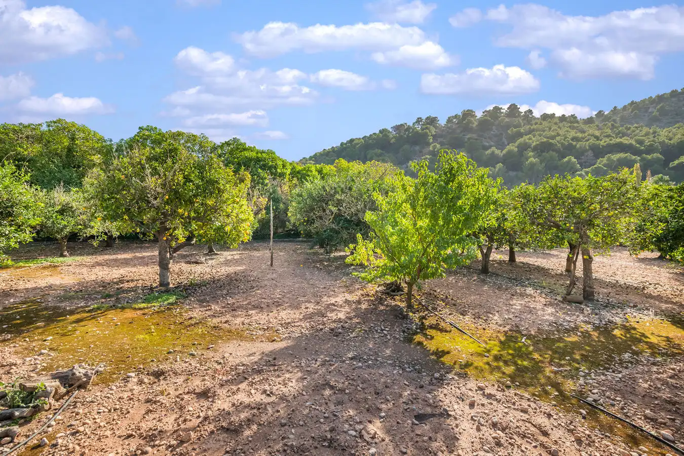 Country homes for sale in Sóller