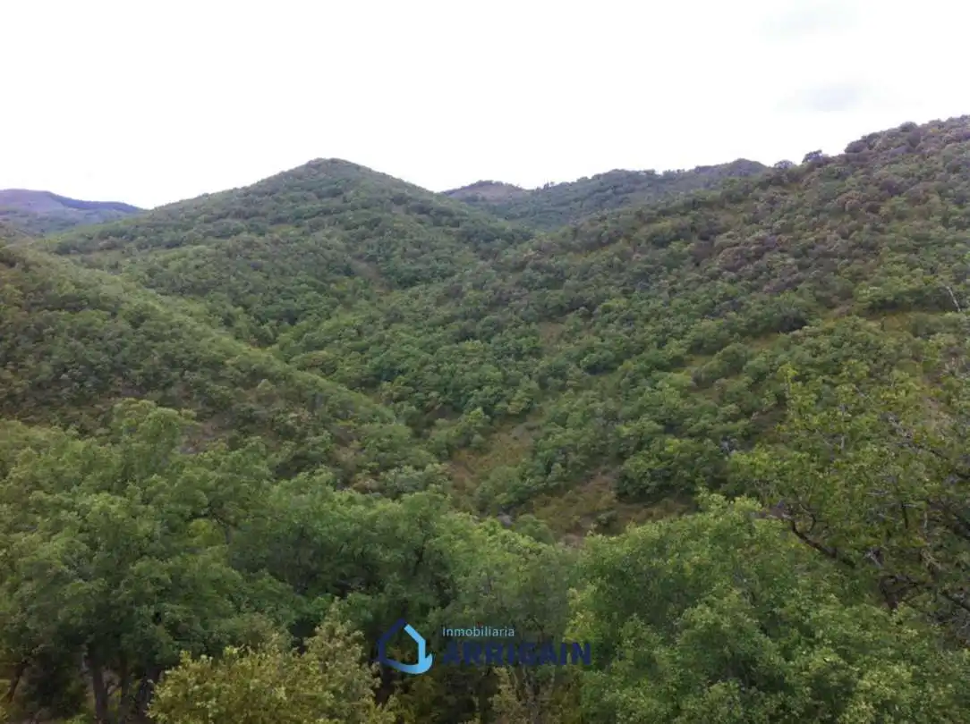 Casa o chalet en venta en La Moraleja con Jardín privado
