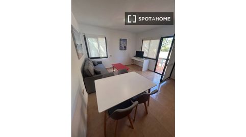 Foto 3 de Habitació a Corralejo, La Oliva