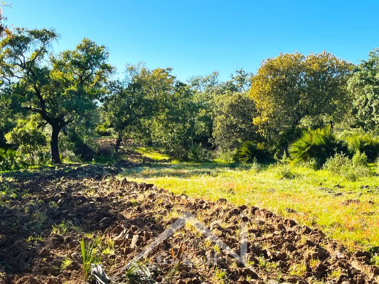 Terreni e lotti in vendita a Castilblanco de los Arroyos, imagen 32