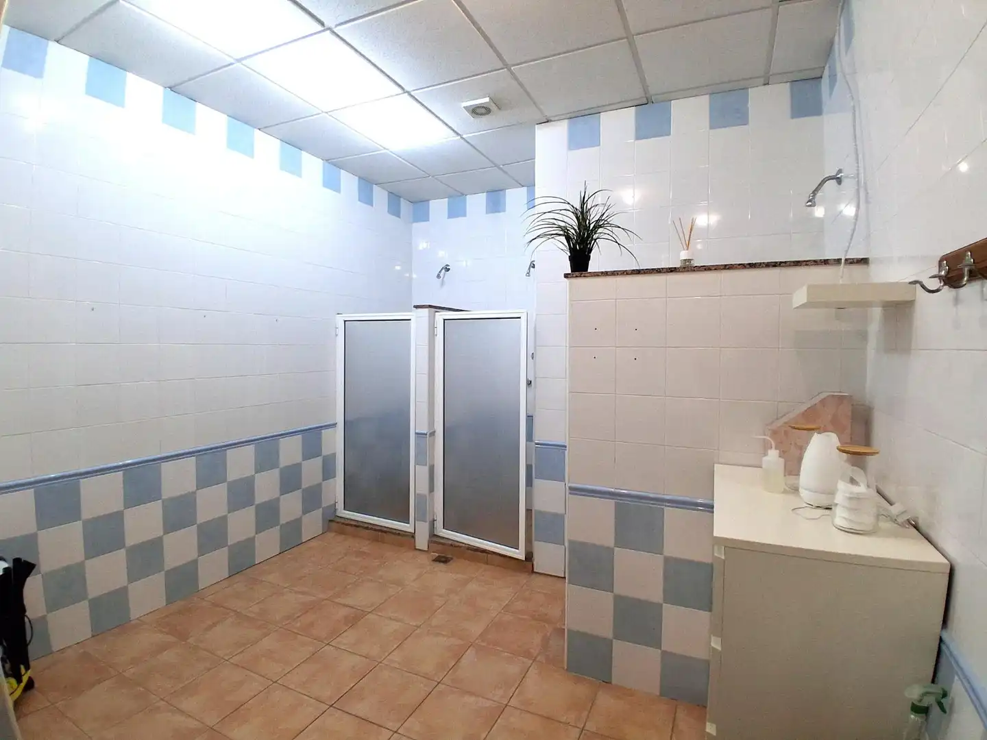 Baño de Casa o chalet en venta en Carmona
