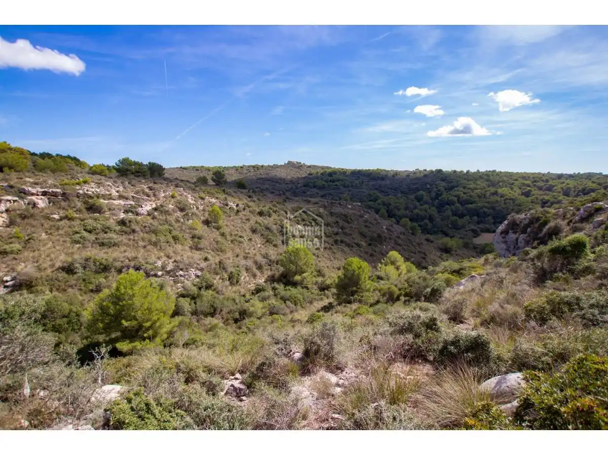 Country homes for sale in Son Bou - Sant Jaume