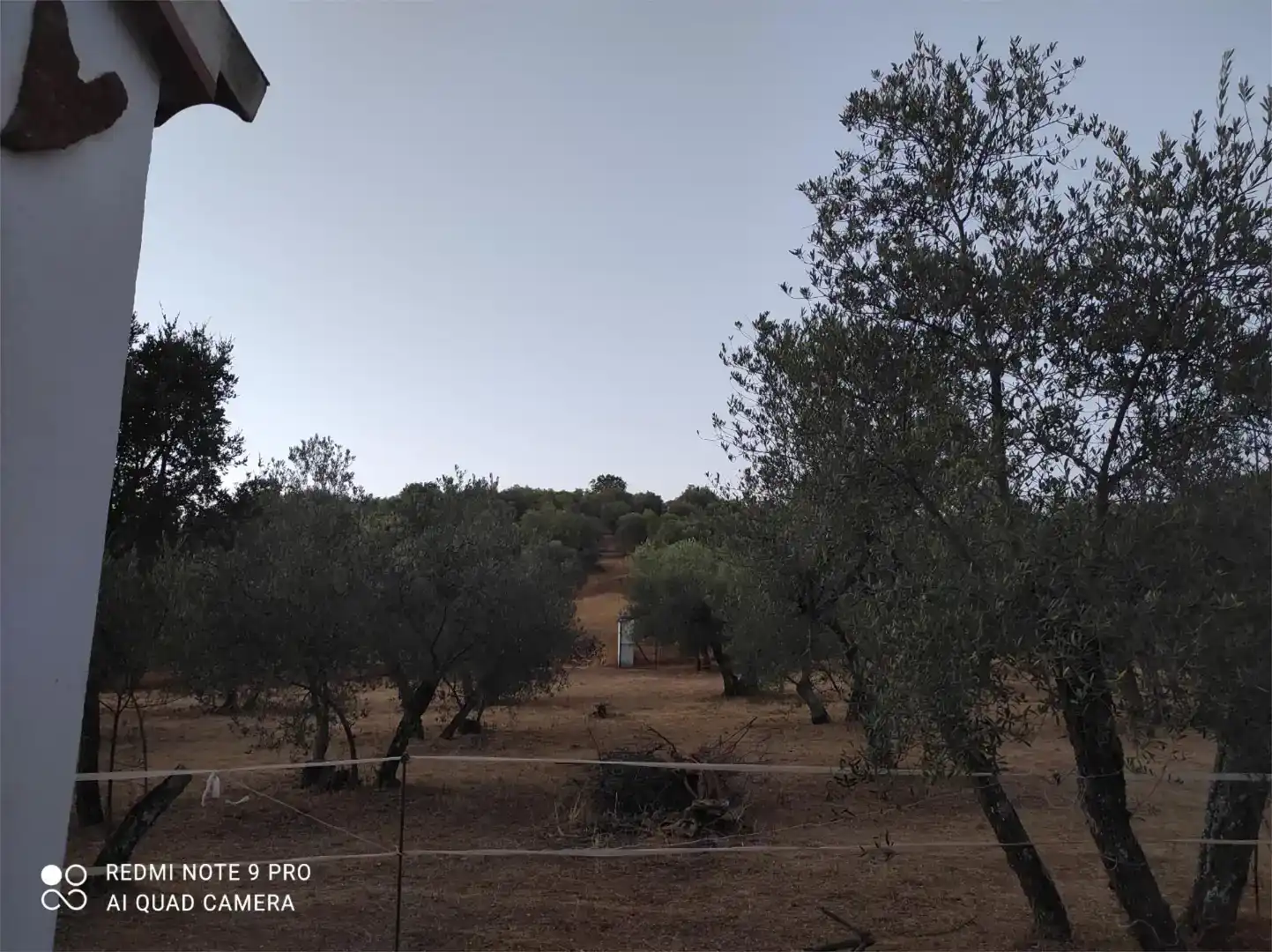Land for sale in Alanís