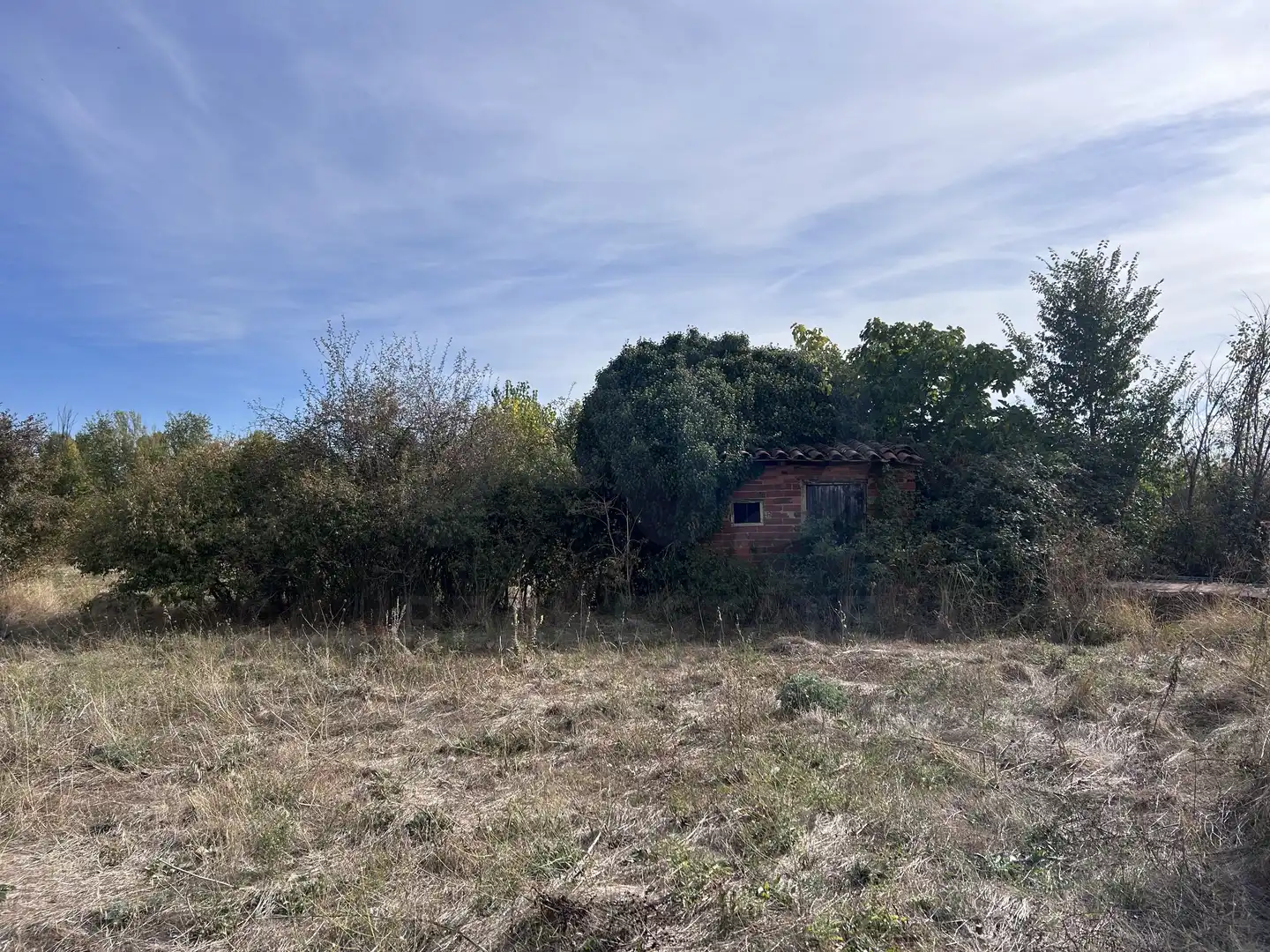 Terreni e lotti in vendita a San Andrés del Rabanedo pueblo, imagen 14