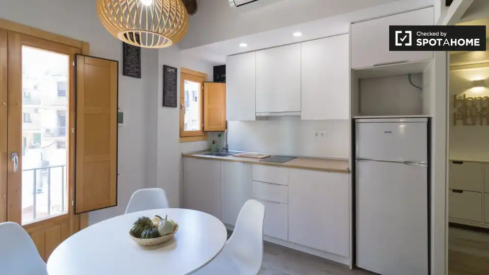 Appartement avec terrasse à louer à Ciutat Vella, imagen 11