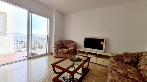 Photo 5 of Apartment to rent in El Terreno,  Palma de Mallorca