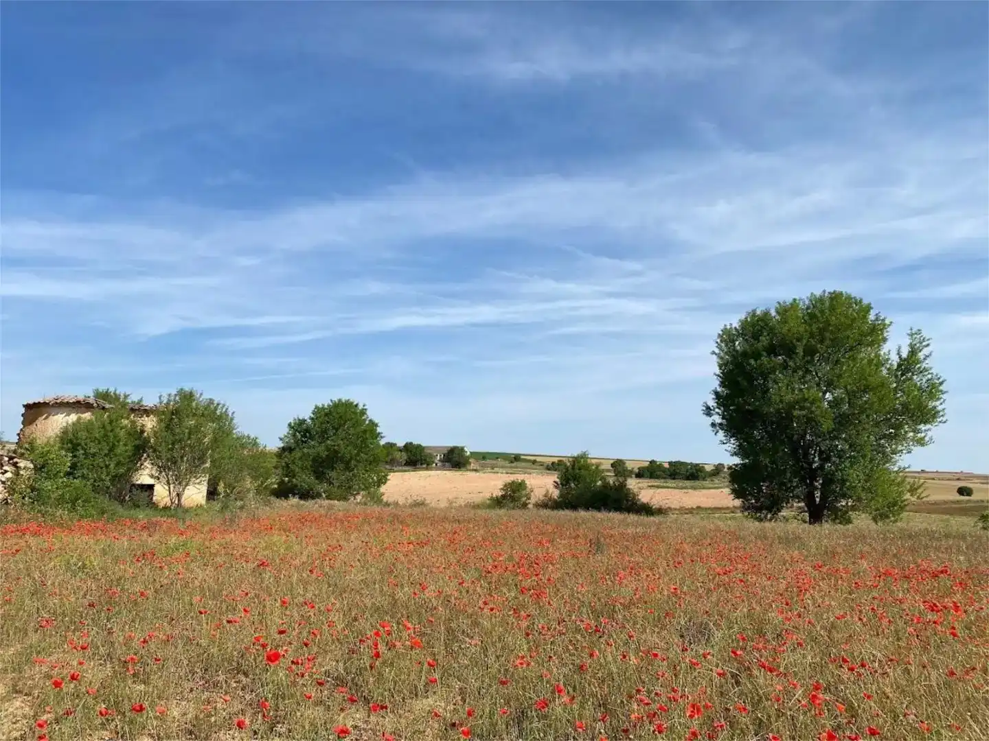 Casa o xalet en venda en Campo de San Pedro, Segovia