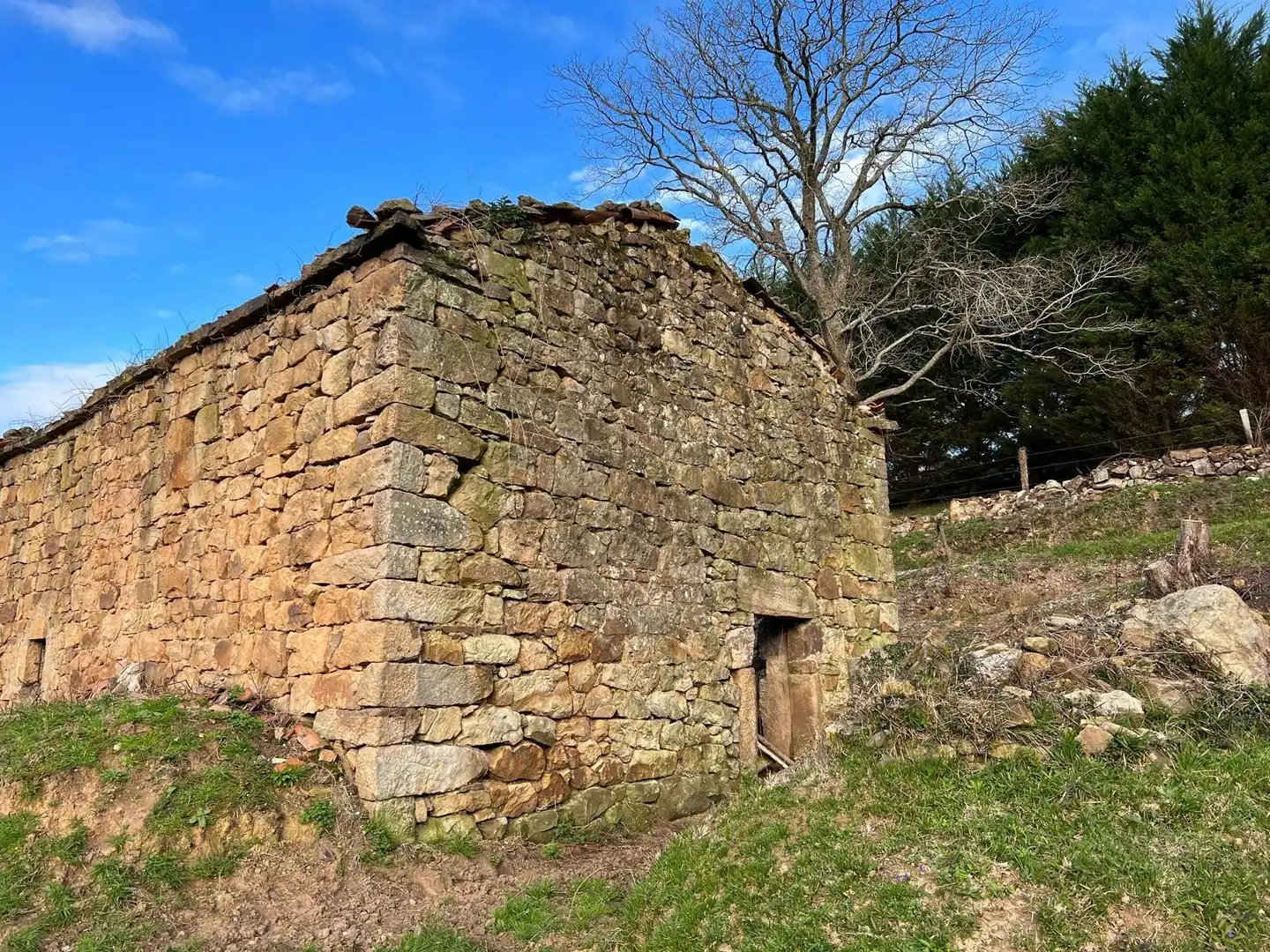 Vista exterior de Casa o chalet en venta en Saro con Jardín privado