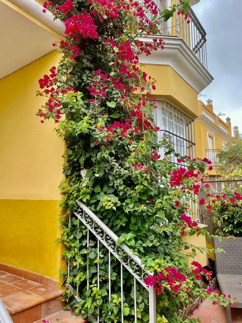 Detached homes for sale in V Centenario - Piletas - Capuchinos
