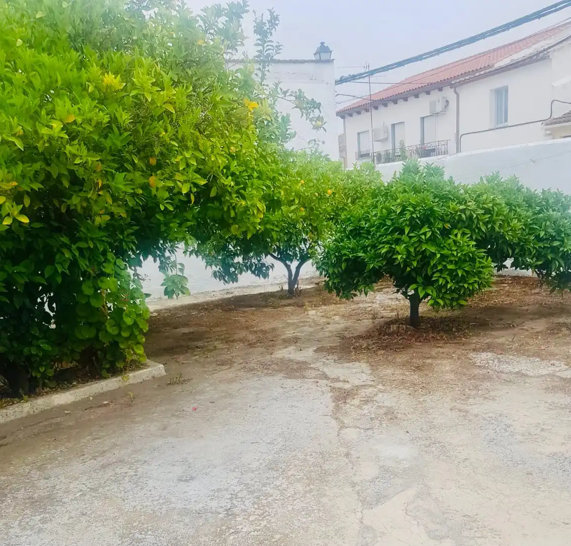 Haus zum Verkauf in Alcaudete, imagen 4
