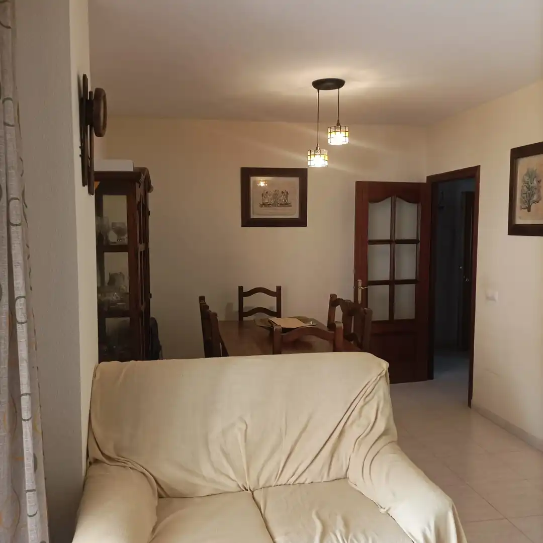 Appartement avec ascenseur à vendre à Avenida de la Aduana, imagen 5