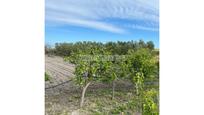 Finca rústica en venda en Chiclana de la Frontera