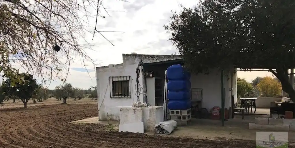 Vista exterior de Finca rústica en venta en Bollullos Par del Condado con Alarma