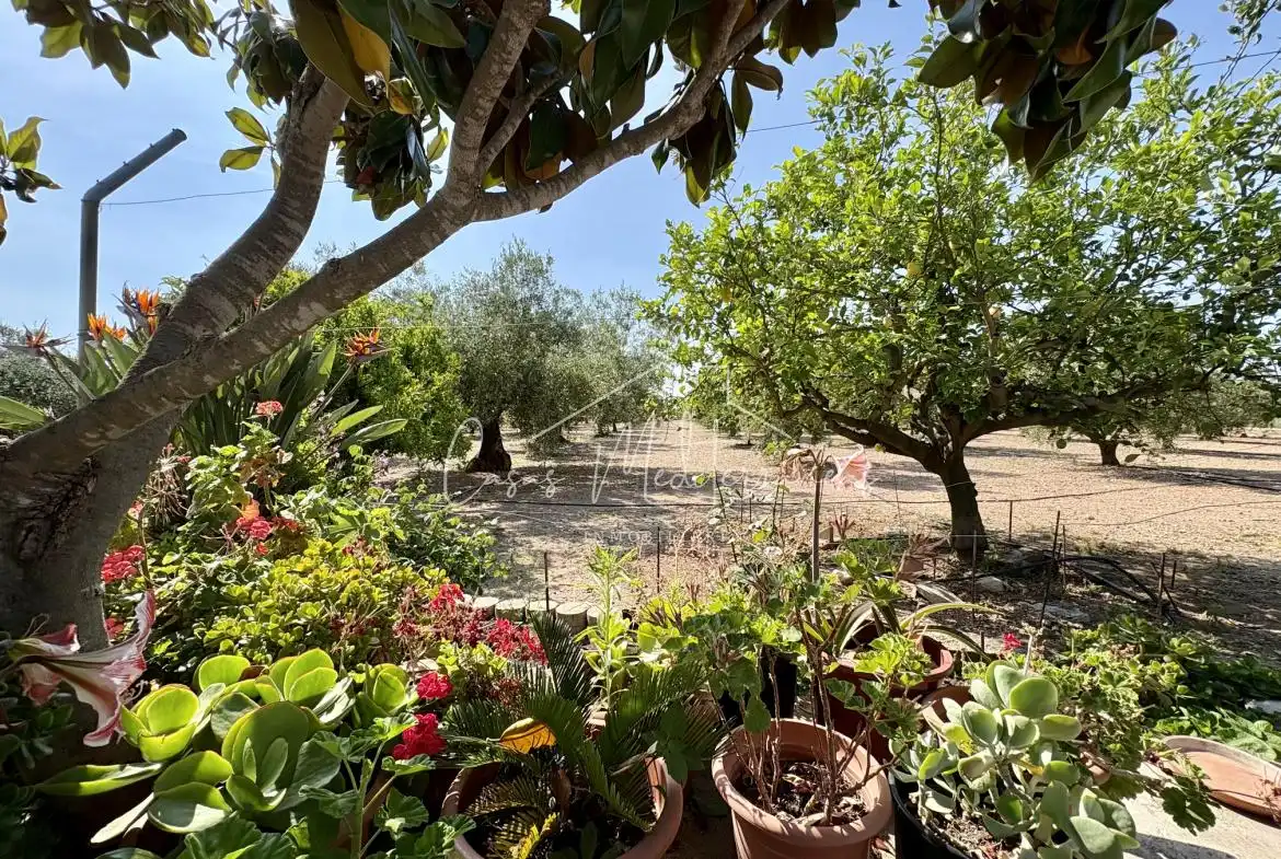 Jardí de Finca rústica en venda en Mont-roig del Camp amb Aire condicionat, Calefacció i Jardí privat