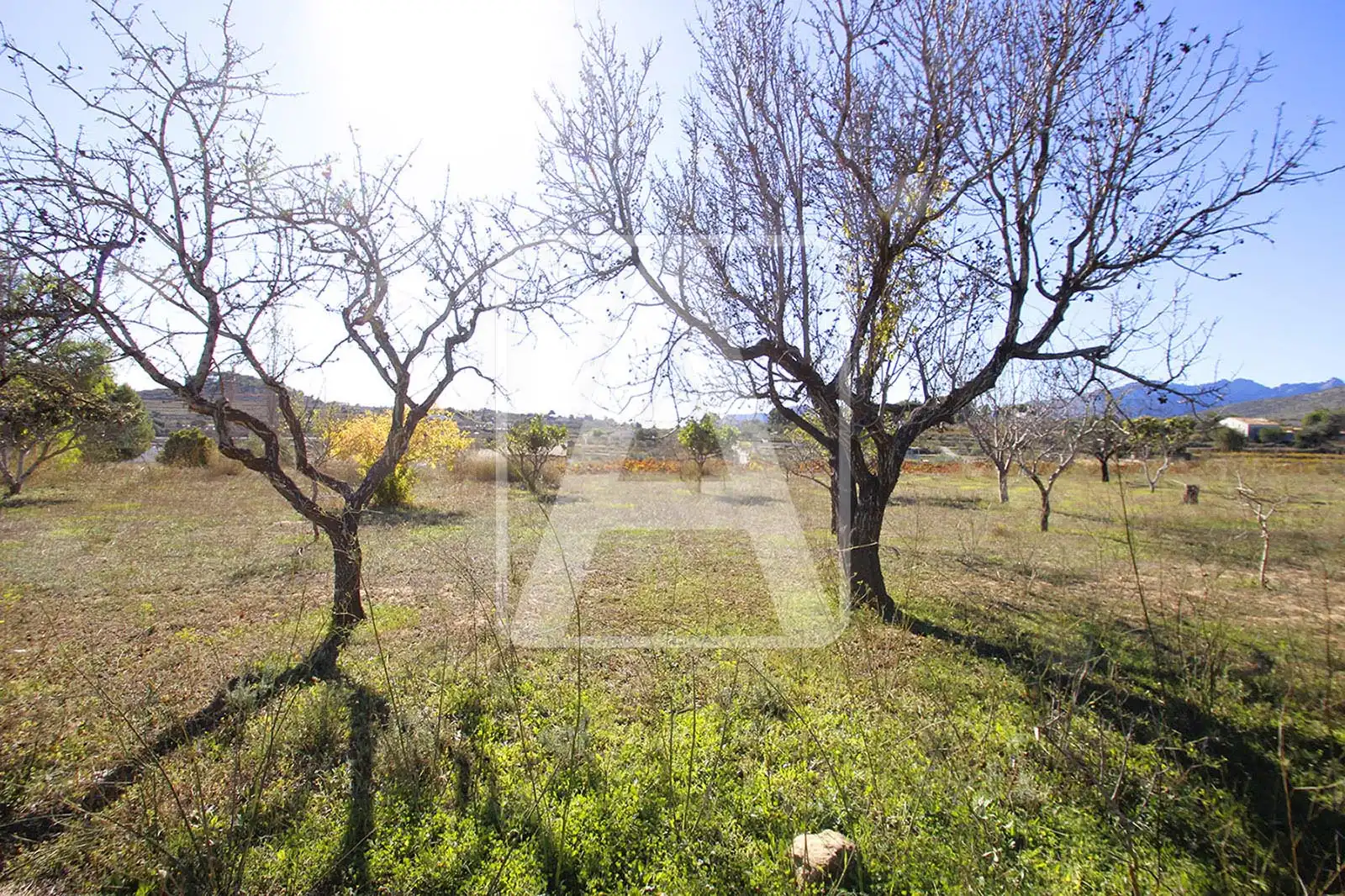 Terreny residencial en venda a Benissa pueblo, imagen 3