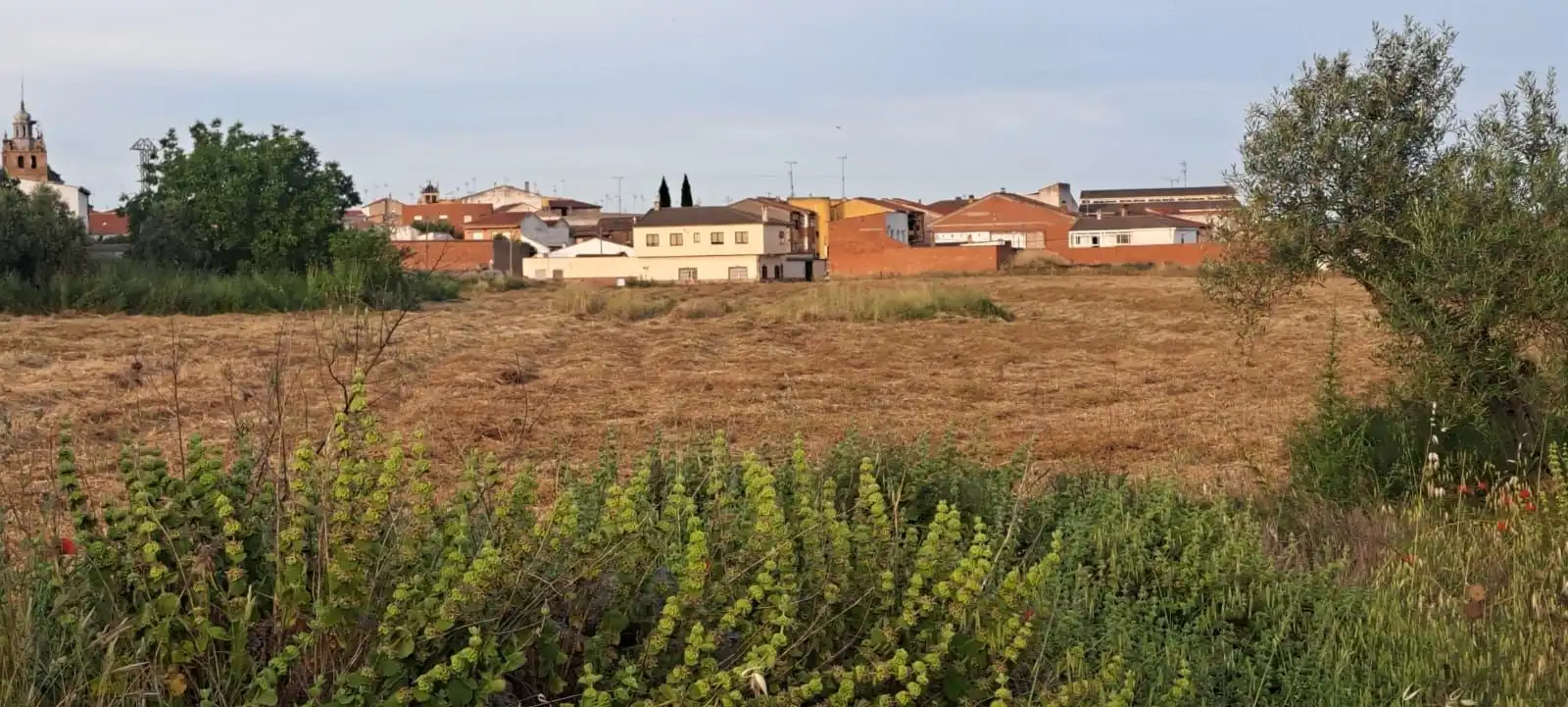 Land for sale in El Puente del Arzobispo