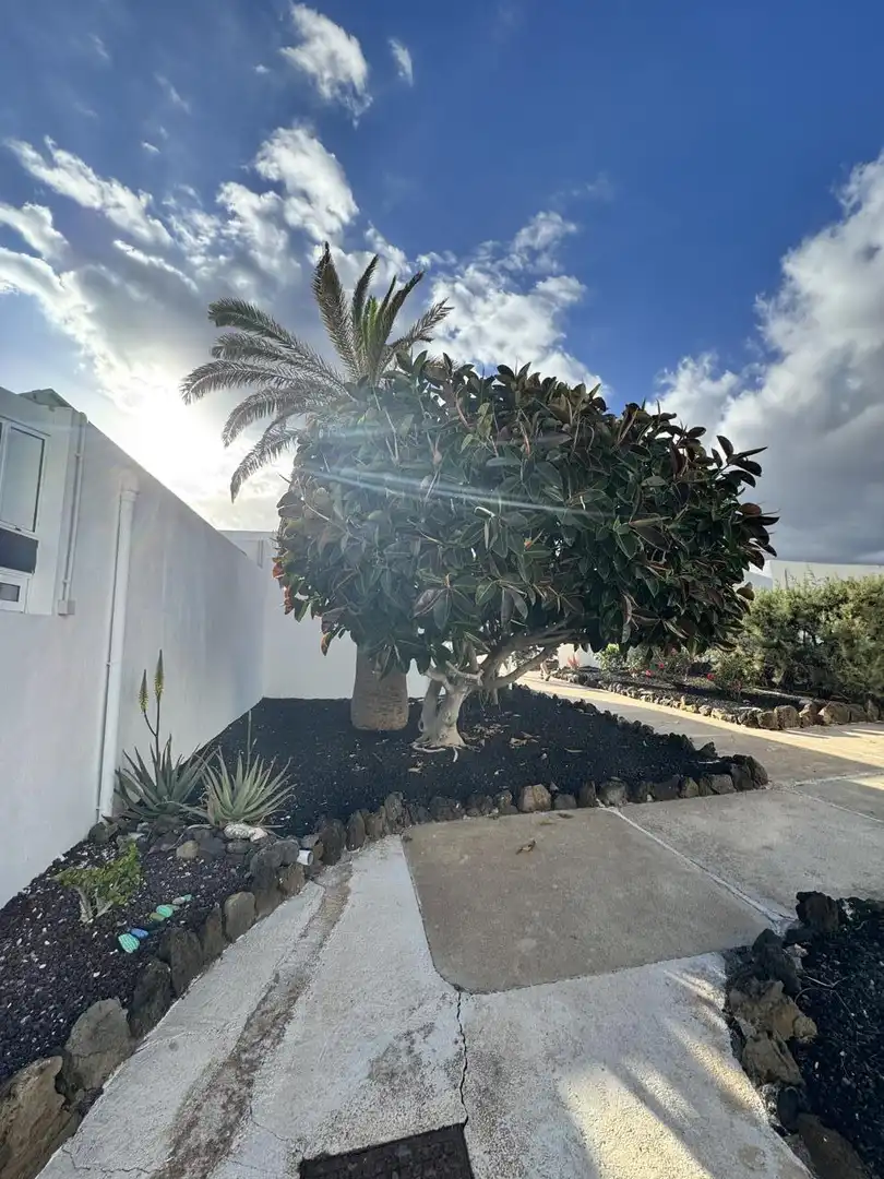 Apartament de lloguer a Llano del Poris., Arico