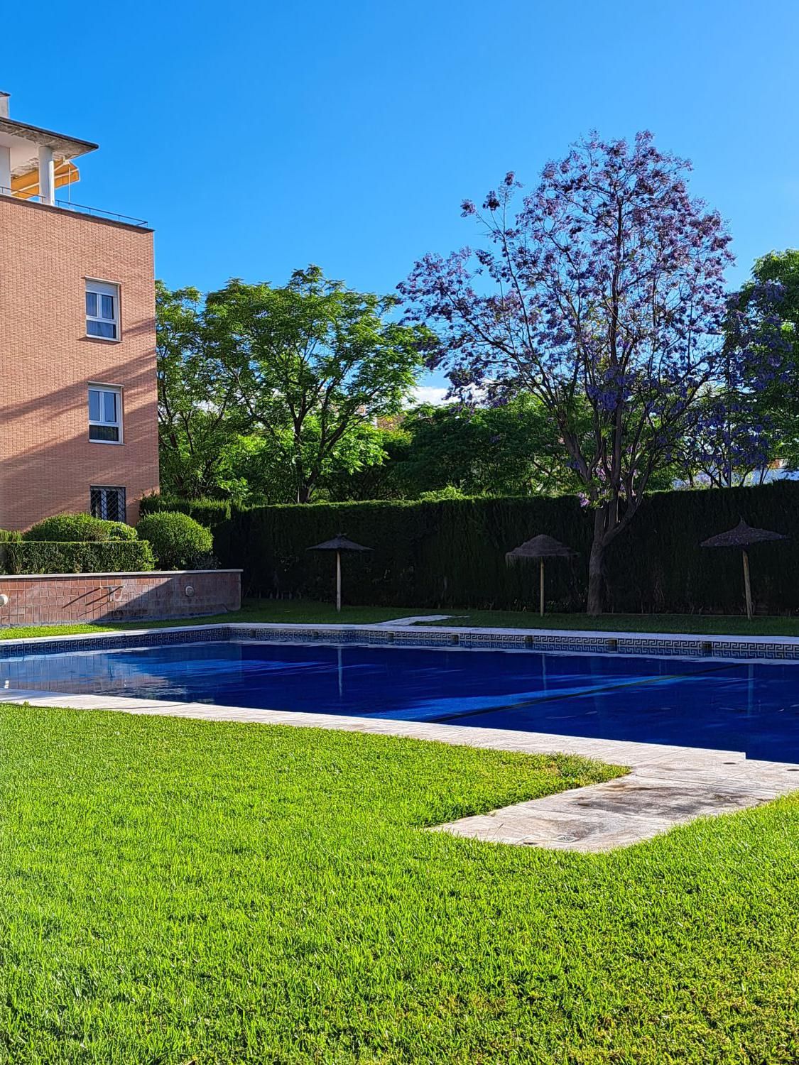 Piscina de Pis de lloguer en  Sevilla Capital