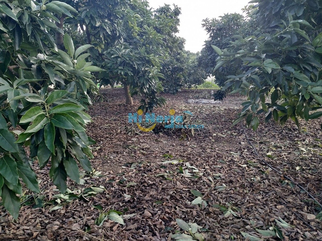 Residencial en venda en Nerja