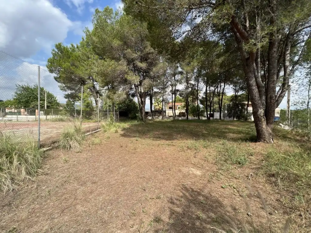 Terreny residencial en venda a Alberic, imagen 52