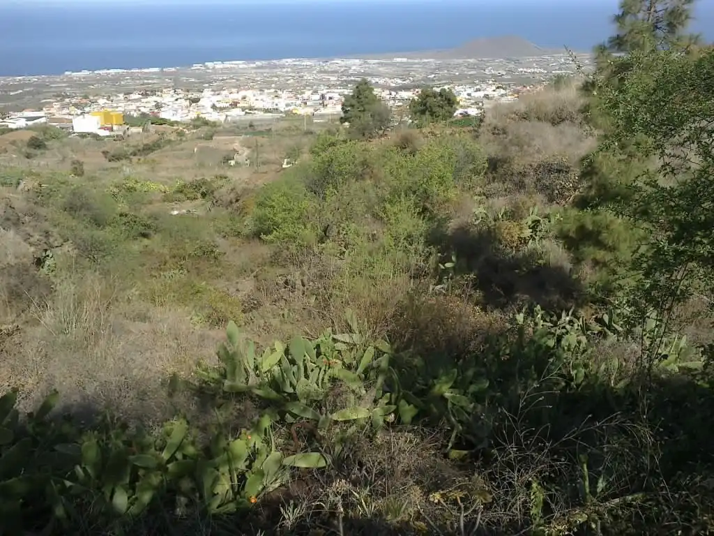 Rural land for sale in Calle Galván, imagen 3