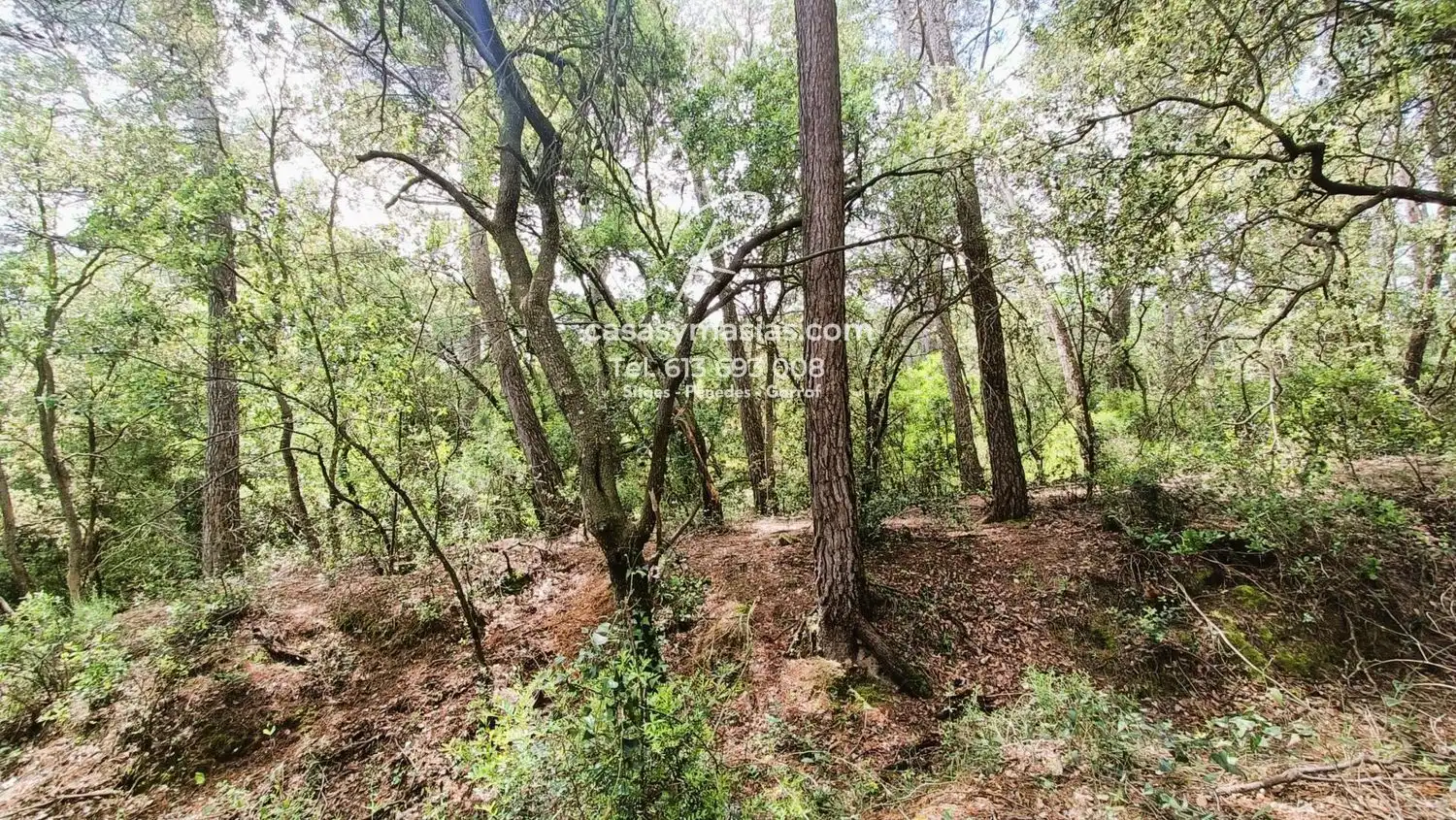 Finca rústica en venta en Mediona con Calefacción, Jardín privado y Piscina