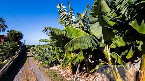 Photo 4 of Country house for sale in Playa Jardín, Santa Cruz de Tenerife