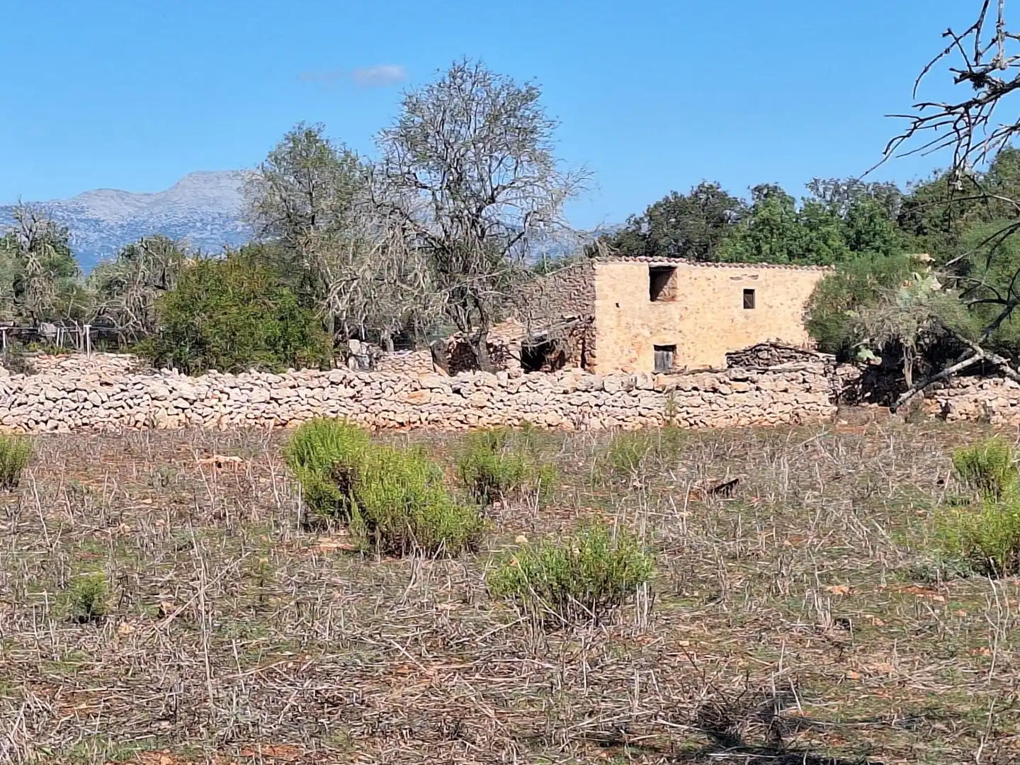 Country homes for sale in Costitx