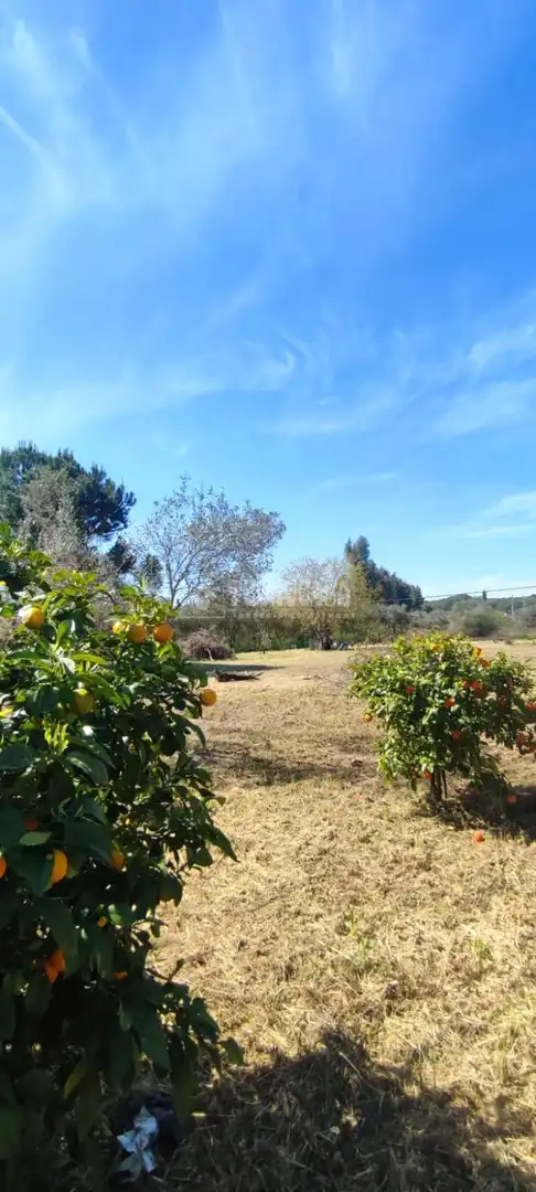 Land for sale in Alcalá de Guadaira