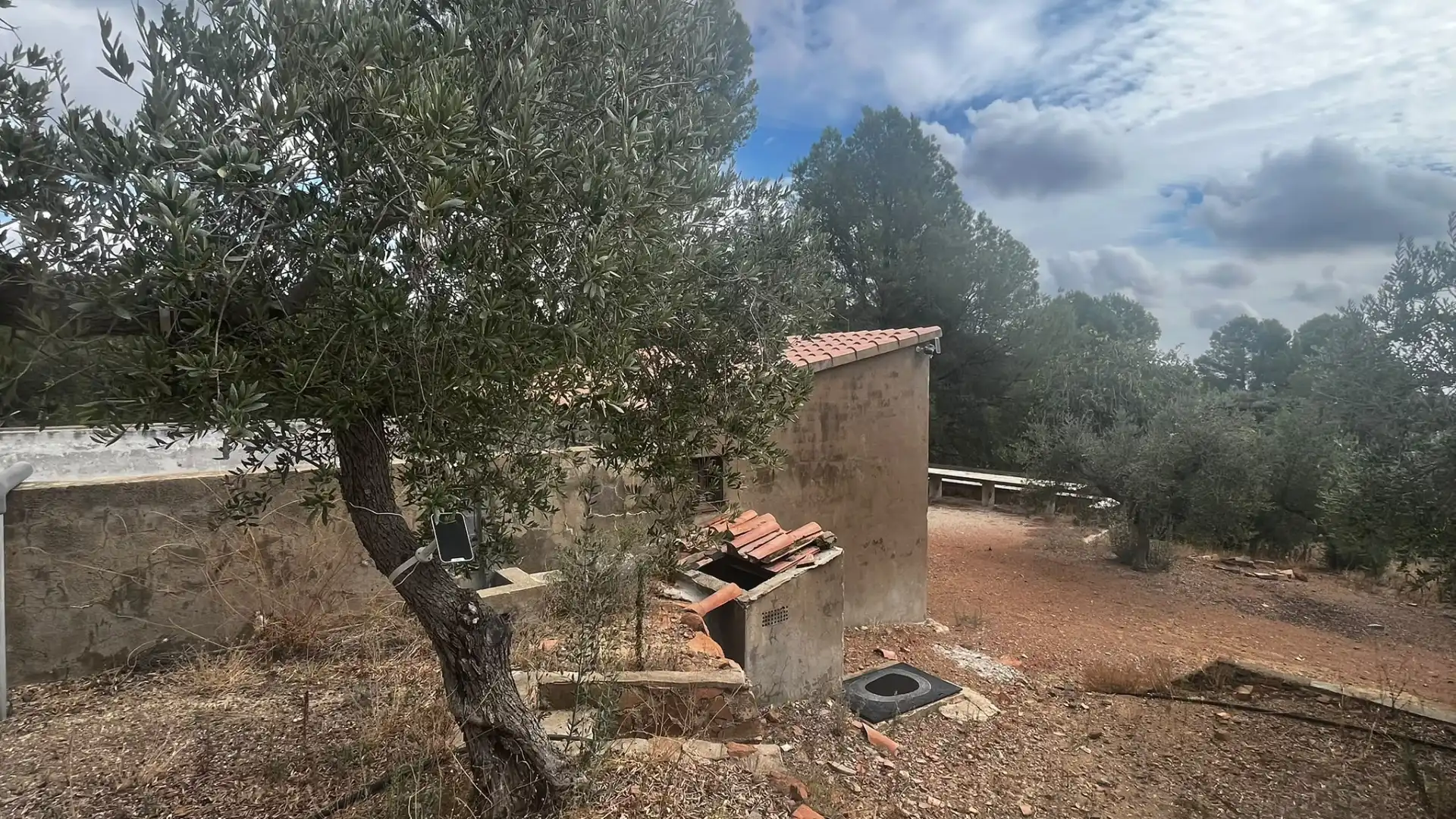 Terreno rustico in vendita a Carrer de Sant Abdó i Sant Senén, imagen 13