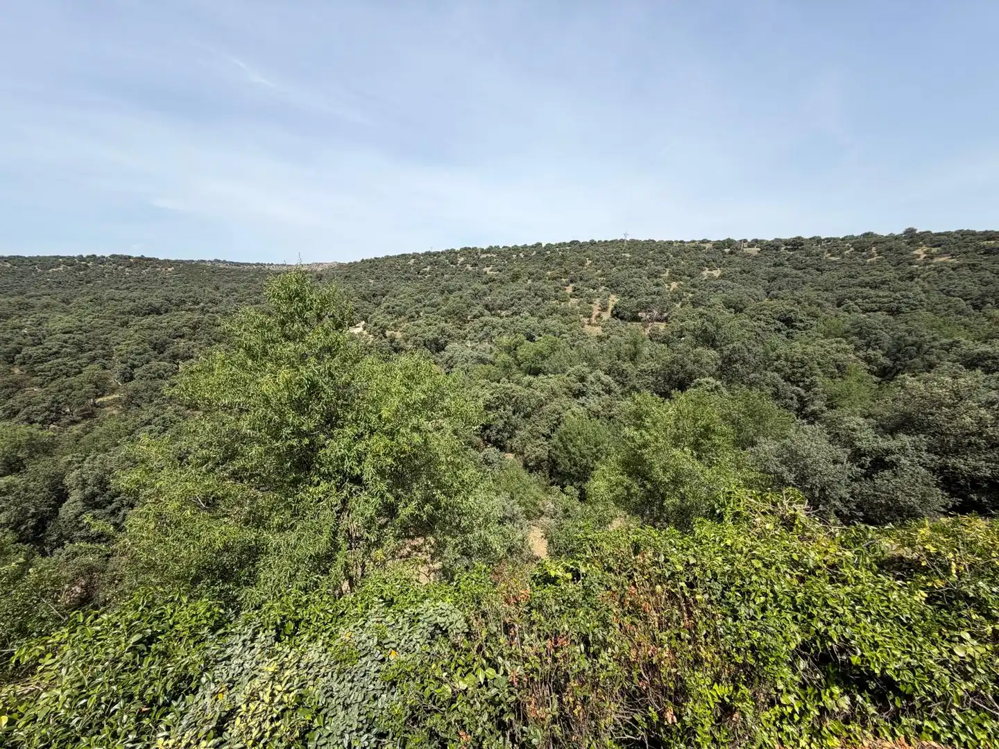 Casa o chalet de alquiler en Las Rozas de Madrid con Aire acondicionado, Calefacción y Jardín privado