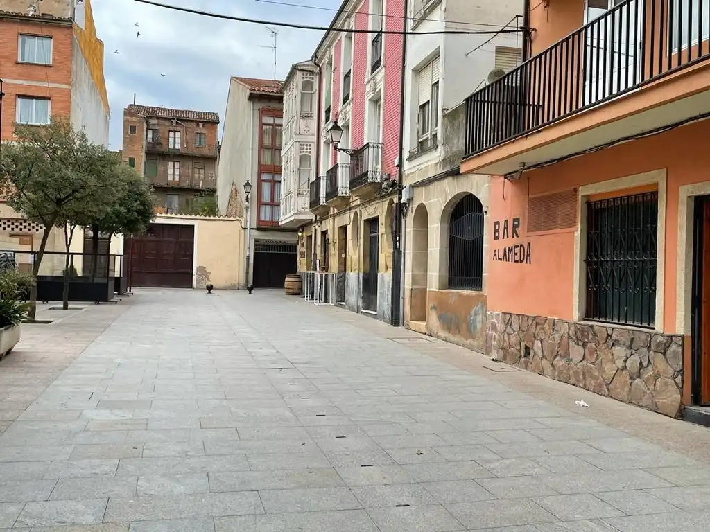 Local comercial en venda a Calle la Alameda 3, imagen 4