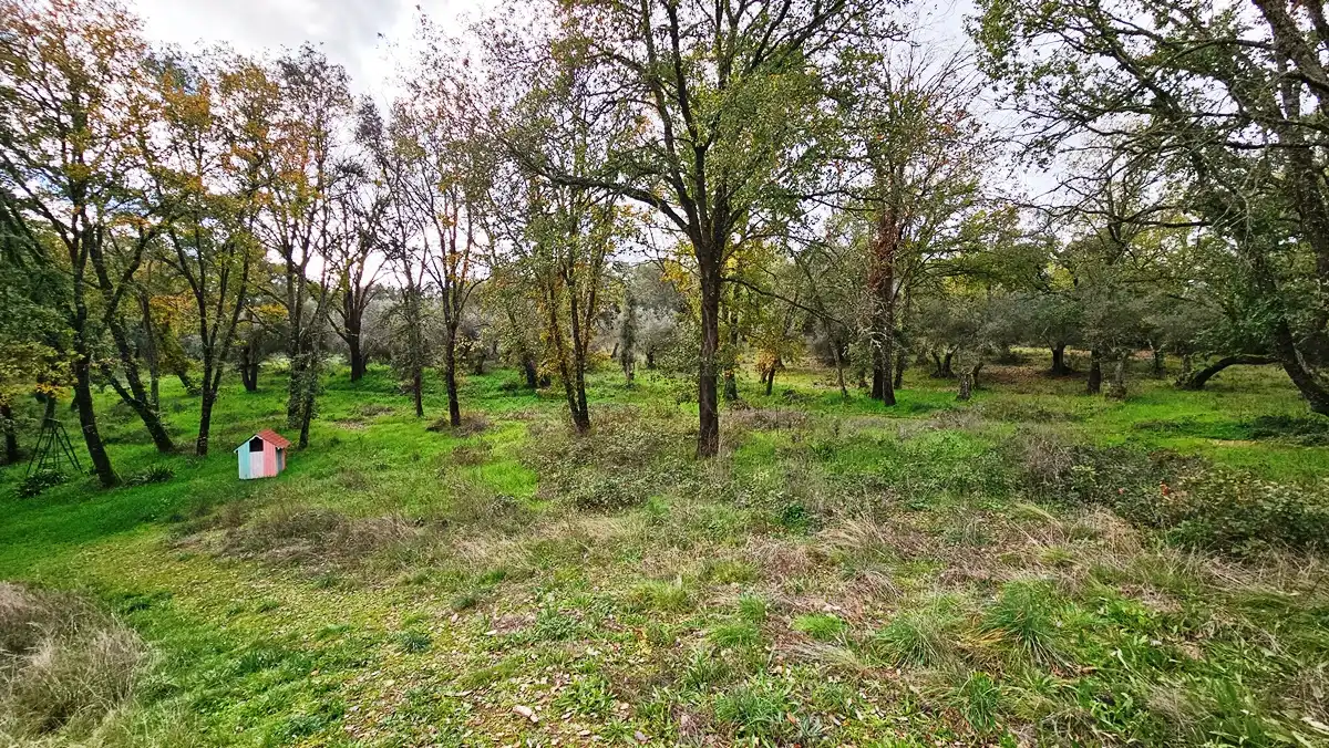 Finca rústica en venta en Galaroza con Calefacción, Jardín privado y Terraza