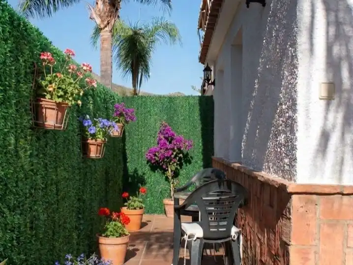 Terrace of Study for rent in Este