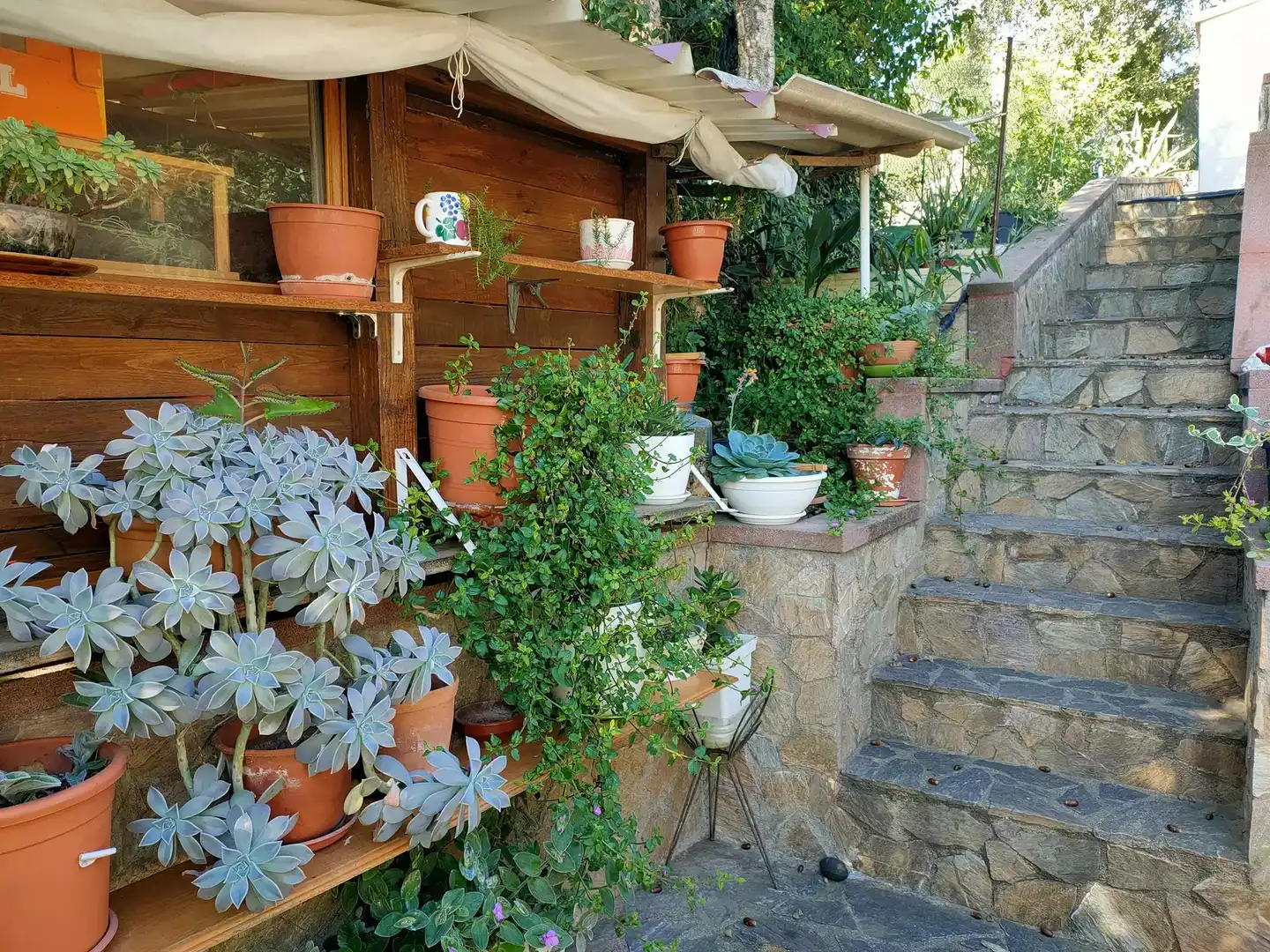 Jardí de Casa o xalet en venda en Massanes amb Piscina