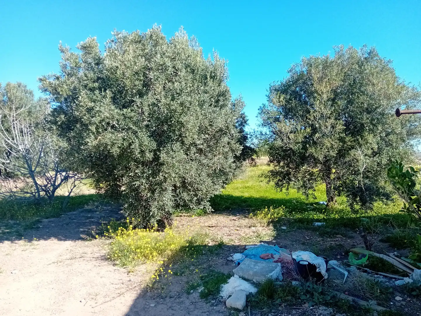 Land for sale in Cartagena