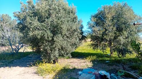 Foto 5 von Grundstücke zum Verkauf in Pasaje Los Marines, 15a, Los Puertos, Cartagena