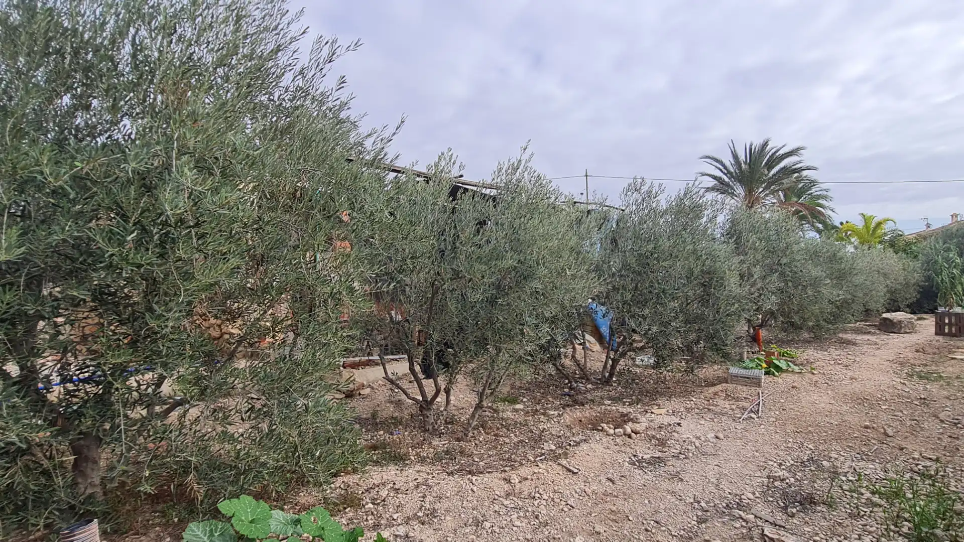 Casa o xalet en venda en Elche / Elx amb Jardí privat, Traster i Moblat