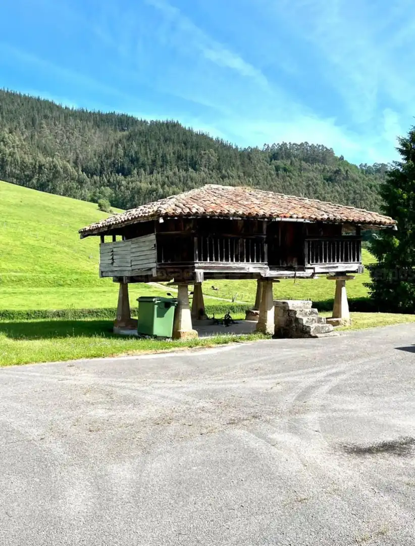 Vista exterior de Casa o chalet en venta en Piloña con Calefacción y Jardín privado