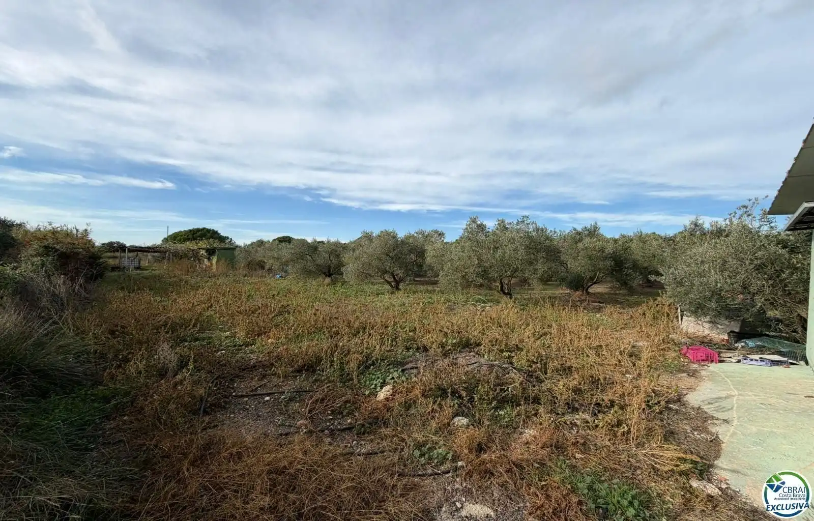 Terrenys i solars en venda a TORRE DEL VIENTO, imagen 19