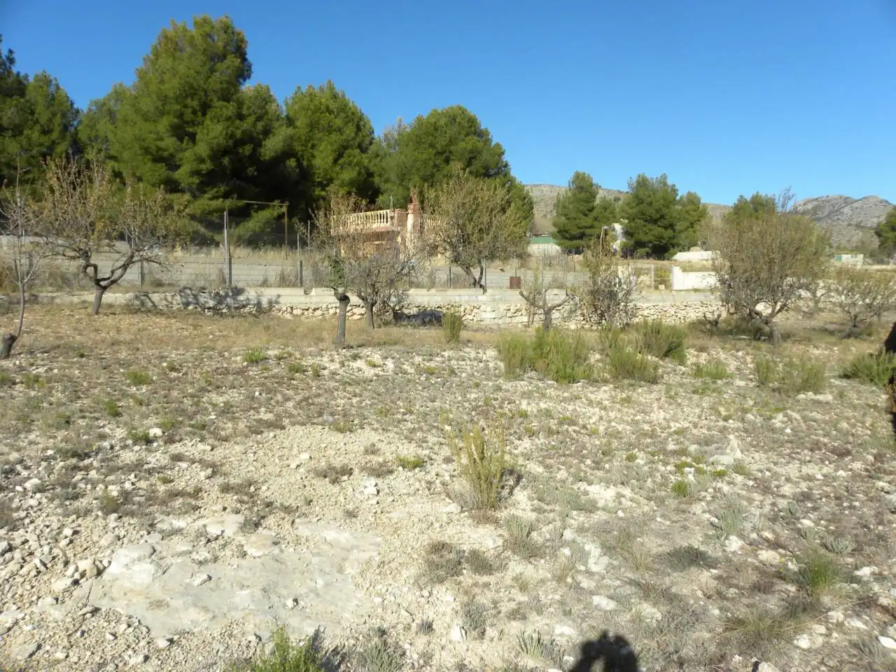 Residential land for sale in Caravaca de la Cruz, imagen 7