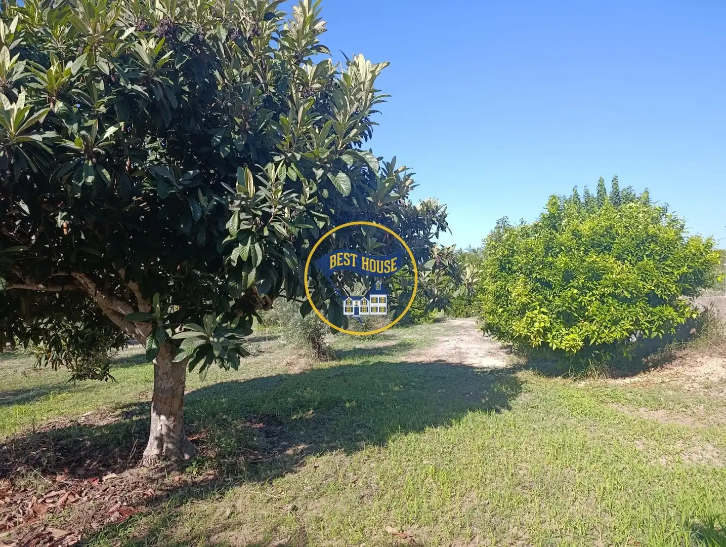 Villa avec jardin à vendre à Agullent, imagen 60
