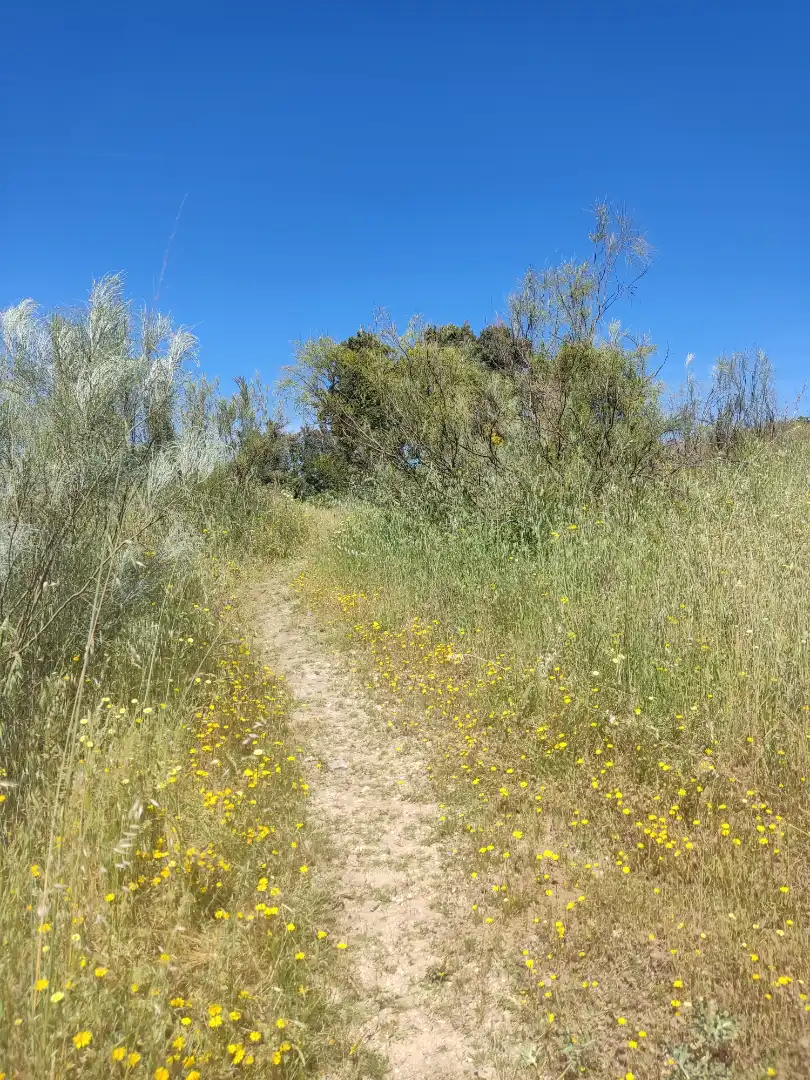 Exterior view of Land for sale in Navalcarnero