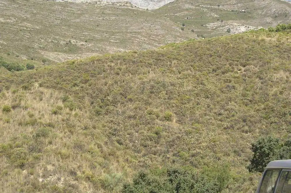 Terreno rústico en venta en Sedella, imagen 3