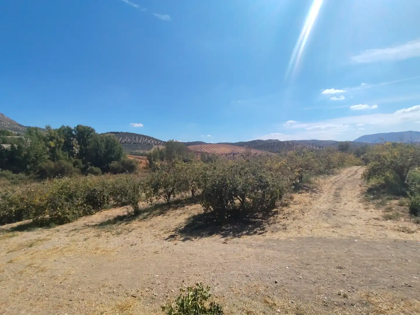 Country homes for sale in Priego de Córdoba  with Private garden, Terrace and Swimming Pool