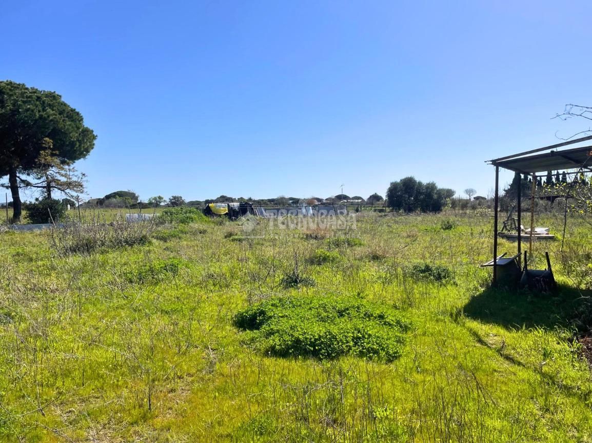 Terreno en venta en Chiclana de la Frontera