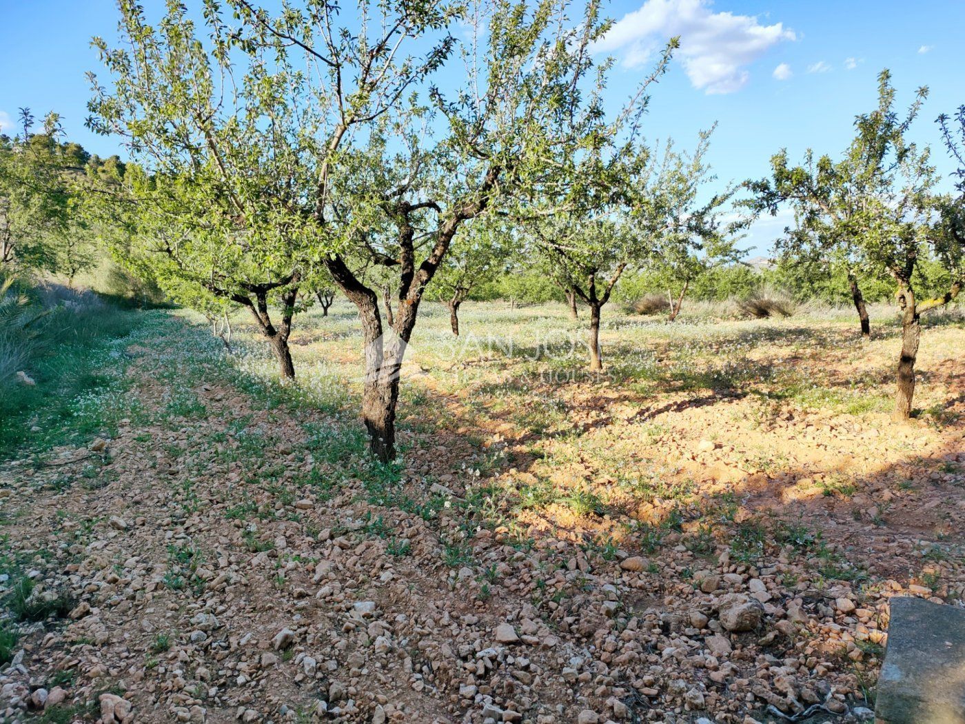 Finca rústica en venda en Hondón de las Nieves / El Fondó de les Neus