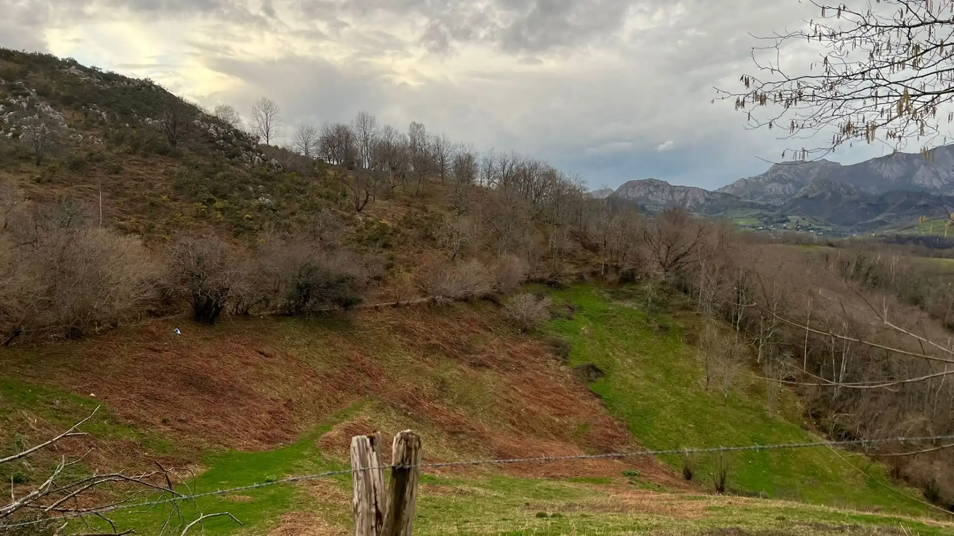 Terreno rustico in vendita a Cangas de Onís, imagen 19